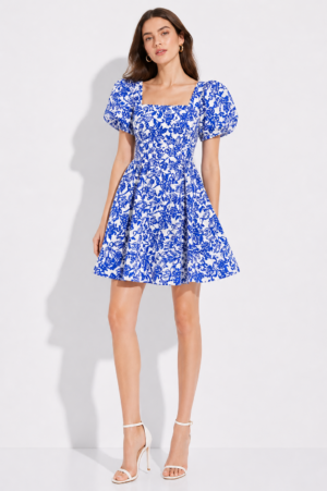 Blue & White Floral Print Fit & Flare Mini Dress